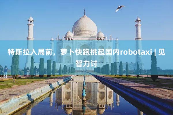 特斯拉入局前，萝卜快跑挑起国内robotaxi | 见智力讨