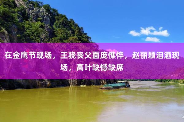 在金鹰节现场，王骁丧父面庞憔悴，赵丽颖泪洒现场，高叶缺憾缺席