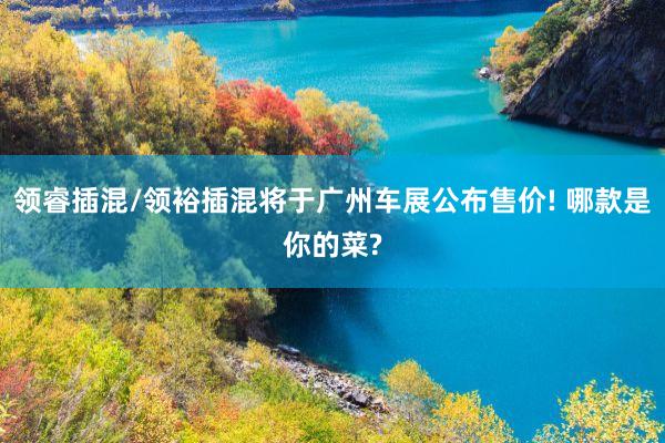 领睿插混/领裕插混将于广州车展公布售价! 哪款是你的菜?