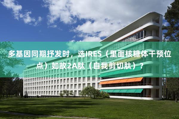 多基因同期抒发时，选IRES（里面核糖体干预位点）如故2A肽（自我剪切肽）？