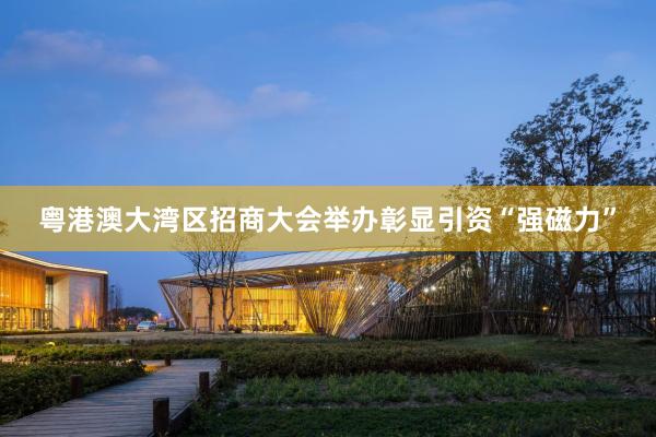 粤港澳大湾区招商大会举办彰显引资“强磁力”