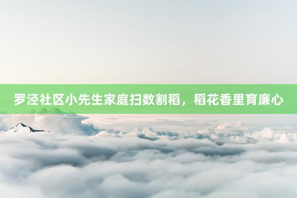 罗泾社区小先生家庭扫数割稻，稻花香里育廉心