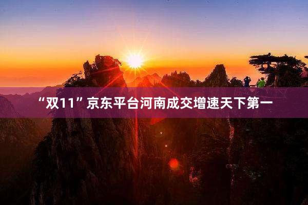 “双11”京东平台河南成交增速天下第一