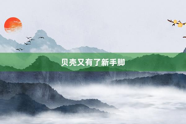 贝壳又有了新手脚