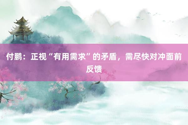 付鹏：正视“有用需求”的矛盾，需尽快对冲面前反馈