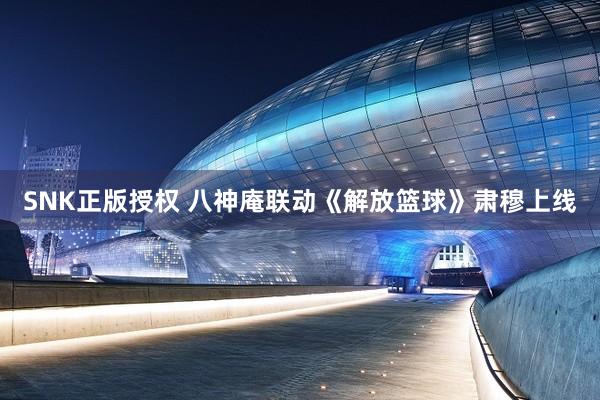 SNK正版授权 八神庵联动《解放篮球》肃穆上线