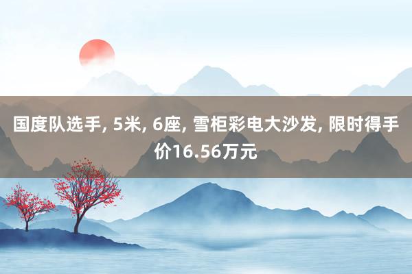 国度队选手, 5米, 6座, 雪柜彩电大沙发, 限时得手价16.56万元