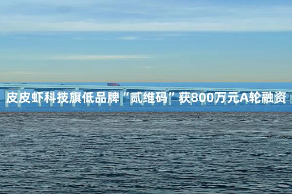 皮皮虾科技旗低品牌“贰维码”获800万元A轮融资