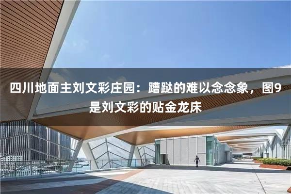 四川地面主刘文彩庄园：蹧跶的难以念念象，图9是刘文彩的贴金龙床