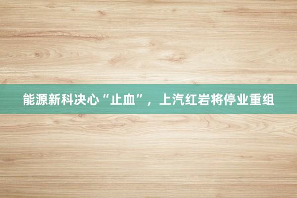 能源新科决心“止血”，上汽红岩将停业重组