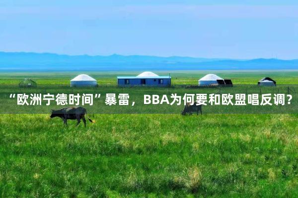 “欧洲宁德时间”暴雷，BBA为何要和欧盟唱反调？