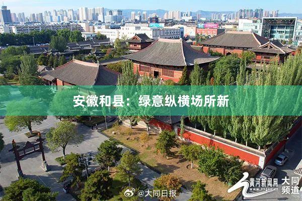 安徽和县：绿意纵横场所新